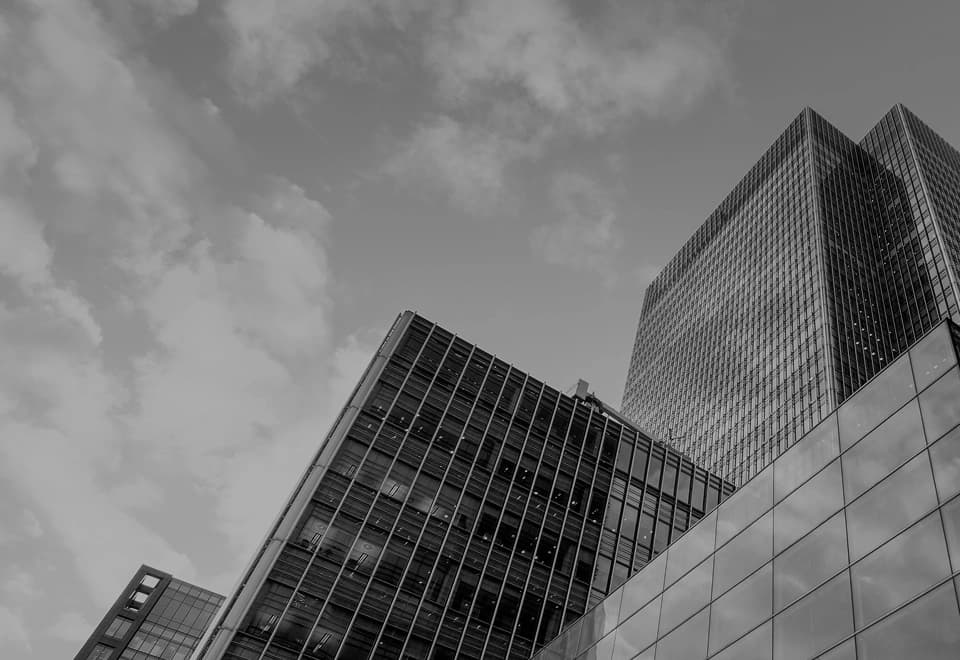 스카이즈 시큐리티 서비스 배경