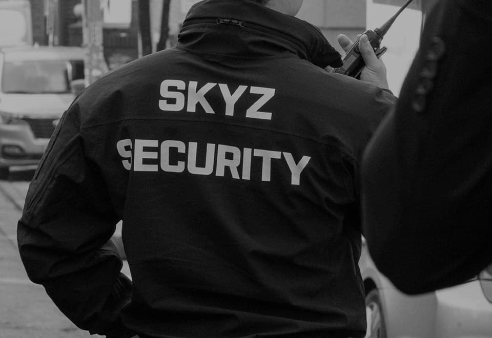 스카이즈 시큐리티 서비스 배경
