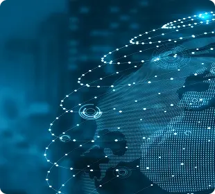 전국 단위 보호 네트워크 완성 배경이미지